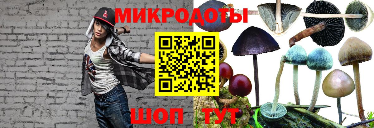Нягань  Псилоцибиновые грибы мухоморы  Вход с VPN 